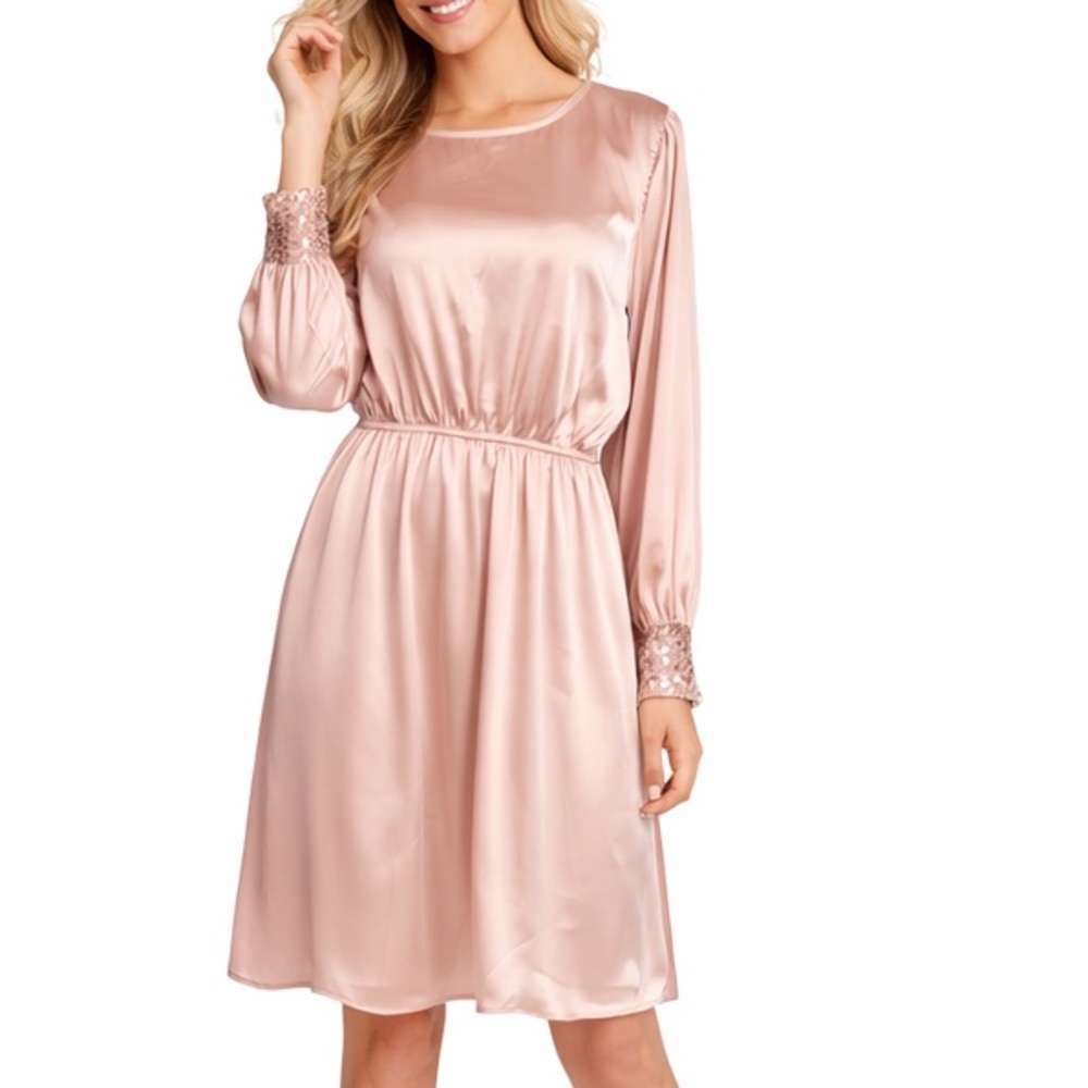 Vine & Love Blush Long Sleeve Dress